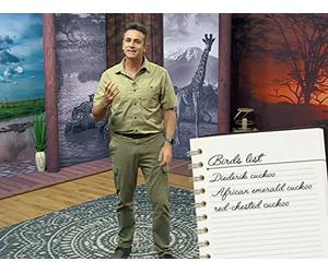 The Sounds of an African Safari