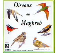 Sounds of Nature: Birds of North-West Africa