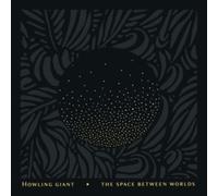 The Space Between Worlds