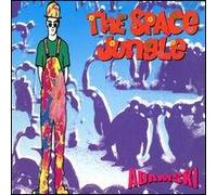 THE SPACE JUNGLE EXTENDED MIX VINYL 12" 1990 ADAMSKI