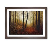 The Sparkling Autumn Forest Framed Print | A2 Walnut Framed Wall Art | Ready to Hang | Modern Landscape Picture | Living Room Bedroom Lounge Office