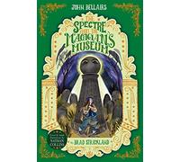 The Spectre From the Magician's Museum - The House With a Clock in Its Walls 7: Volume 7