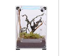 The Spider Shop Mantis Starter Kit - Complete Mantis starter kit