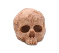 The Spider Shop Skull Hide Small - Purpose built hide for Juvenile Tarantulas, Scorpions and other Invertebrates