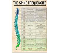 The Spine Frequencies Posters Doctor'S Science Guide Posters Room Decor Home Hospital Wall Decor Plaque 8"x12"