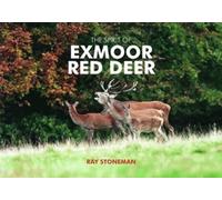 The Spirit of Exmoor Red Deer
