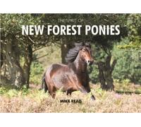 The Spirit of New Forest Ponies