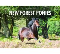 The Spirit of New Forest Ponies