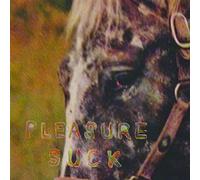 The Spirit Of The Beehive - Pleasure Suck