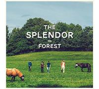 The Splendor - Forest [VINYL]