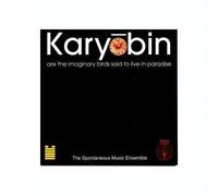 The Spontaneous Music Ensemble - Karyobin