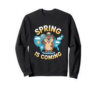 The Spring Detective Sweatshirt