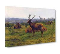 The Stag By Rosa Bonheur Canvas Print | Gallery Wrapped 30mm Frame Wall Art | 20x14 inches | Ready to Hang | Classic Animals Picture | Living Room Bedroom Lounge Office