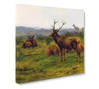 The Stag by Rosa Bonheur Canvas Print | Gallery Wrapped 30mm Frame Wall Art | 20x20 inches | Ready to Hang | Modern Animals Picture | Living Room Bedroom Lounge Office