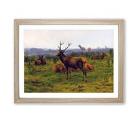 The Stag By Rosa Bonheur Classic Painting Framed Print | A4 Oak Framed Wall Art | Ready to Hang | Classic Animal Picture | Living Room Bedroom Lounge Office