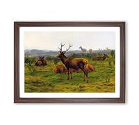 The Stag by Rosa Bonheur Framed Print | A2 Walnut Framed Wall Art | Ready to Hang | Modern Animal Picture | Living Room Bedroom Lounge Office