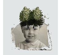 The Stargazer's Assistant - Modular Fields [VINYL]