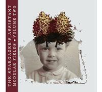 The Stargazer's Assistant - Modular Fields. Volume Two [VINYL]