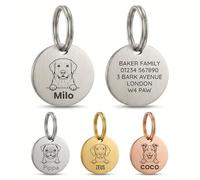 The Stately Hound Dog Name Tags Engraved UK, Silver Round, Medium