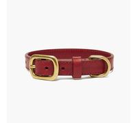 The Stately Hound Handmade Luxury Leather Dog Collar - Hand-Stitched Premium Genuine Leather, Durable Gold-Coloured Hardware, Adjustable Fit for Small, Medium & Large Dogs (Red, Extra Small)