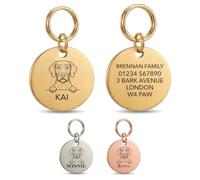 The Stately Hound Wire Haired Vizsla Gifts, Personalised Tag, Gold, L