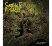 The Stench Of Eternity [VINYL]