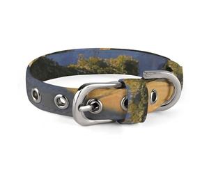 The Stone Path Leads Back to Home. Pet Collar Easy Snap on Buckle Adjustable Collar with 5 Hole Positions Training Collar for Large Medium and Small Pets,Pet Supplies,Stuff,Accessories