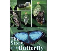 The Story of the Butterfly