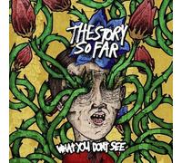 THE STORY SO FAR - WHAT YOU DON'T SEE CD NEW