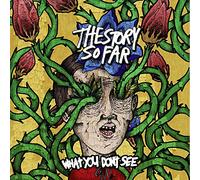 The Story So Far - What You Don't See - Vinyl