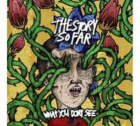 THE STORY SO FAR - WHAT YOU DON'T SEE VINYL NEW