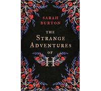 The Strange Adventures of H the enchanting rags to riches story set during the Great Plague of London Paperback 1 Jun 2020