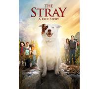 The Stray