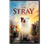 The Stray