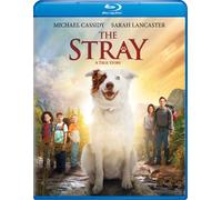 The Stray (Blu-ray) Sarah Lancaster Michael Cassidy Connor Corum (US IMPORT)