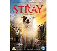 The Stray (DVD) [2018]