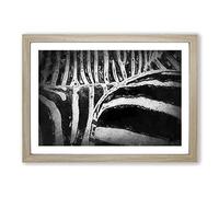 The Stripes of The Zebra in Abstract Framed Print | A2 Oak Framed Wall Art | Ready to Hang | Abstract Animal Picture | Living Room Bedroom Lounge Office