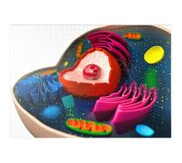 The Structure Of A Biological Cell (3D Model) - Premium 1000 pieces Puzzle - MyPuzzle special collection from Puzzle Galaxy