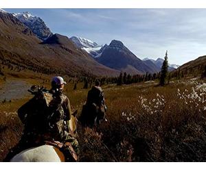 The Stuff You Find, The Things You Can't