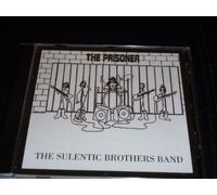 THE SULENTIC BROTHERS BAND - THE PRISONER.HEAVY SOUTHERN ROCK US 95