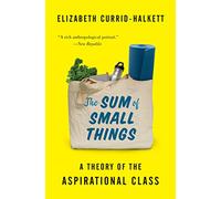 The Sum of Small Things: A Theory of the Aspirational Class
