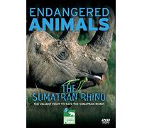 The Sumatran Rhino (Endangered Animals) [DVD] [2009]
