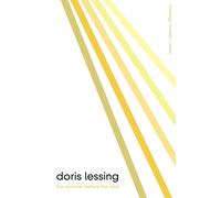 The Summer Before the Dark