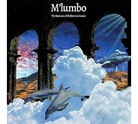 The Summer Of Endless Levitation [VINYL]