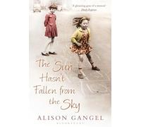 The Sun Hasn't Fallen From the Sky