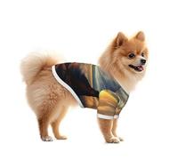 The Sun Rising Between Two Mountains Mesh Dog Shirt - Lightweight & Breathable, Quick Dry Stretchy Pet T-Shirt Vest for Small Dogs
