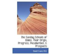 The Sunday Schools of Wales, Their Origin, Progress, Peculiarities, & Prospects