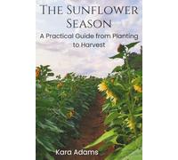 The Sunflower Season: A Practical Guide from Planting to Harvest