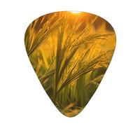 The Sunset Wheat Printed guitar picks - three thicknesses: thin, medium and thick, suitable for electric guitar, bass and ukulele.