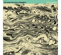 THE SURE FIRE SOUL ENSEMBLE - BUILD BRIDGES [CD]